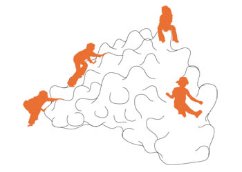 climbing corals