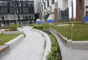 chimney park