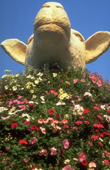 The mighty Maidstone Sheep