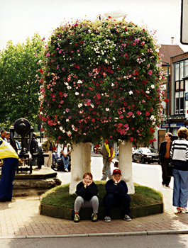 The mighty Maidstone Sheep