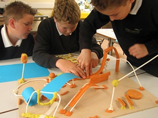 wisbech adventure playground